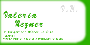valeria mezner business card